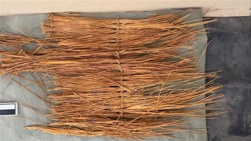 القطعة الأثرية 