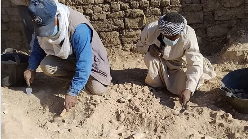 جانب من الأعمال 