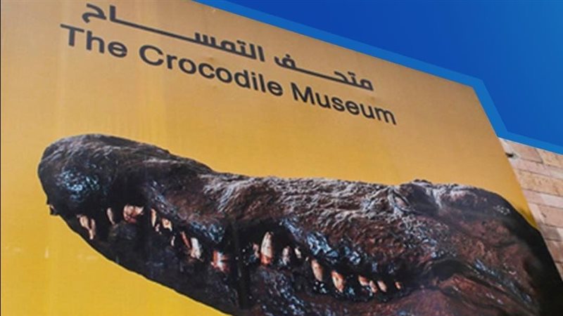 متحف التمساح 