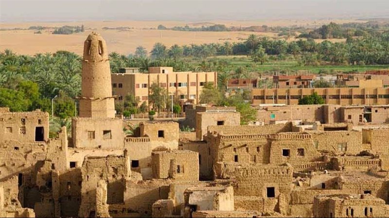 مدينة القصر