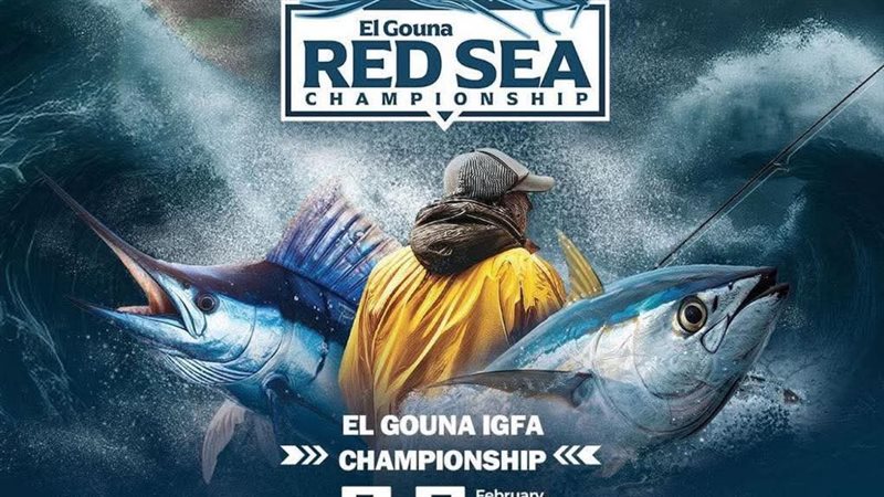 المراقبة الجوية 