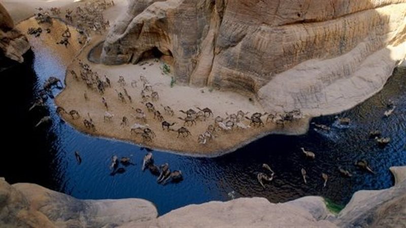 محمية وادي الجمال