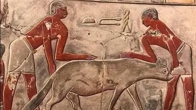 منظر إطعام الضباع في مقبرة مريروكا بسقارة يكشف جانبًا فريدًا من الحياة اليومية