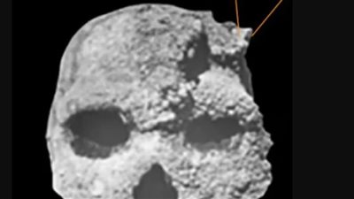 اكتشاف سلالة بشرية مجهولة عمرها 300 ألف عام باليونان