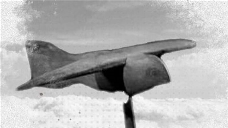 فكرة الطيران 