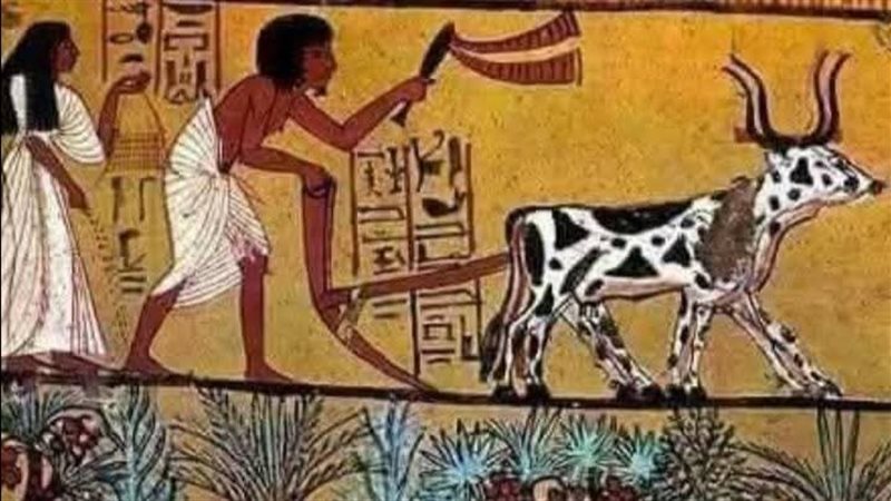 القطعة الأثرية 