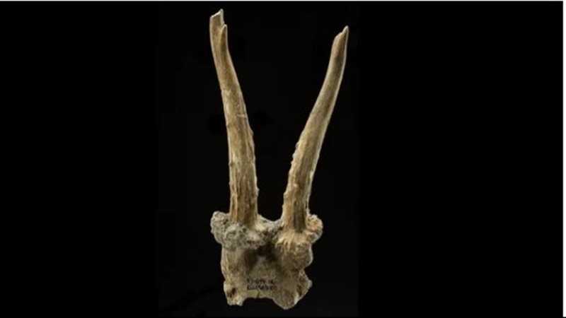 غطاء رأس مصنوع من