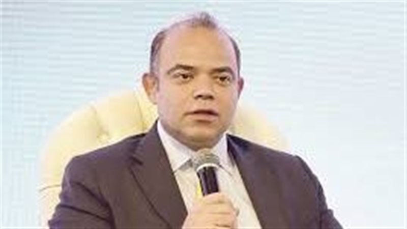 وزير الاستثمار محمد