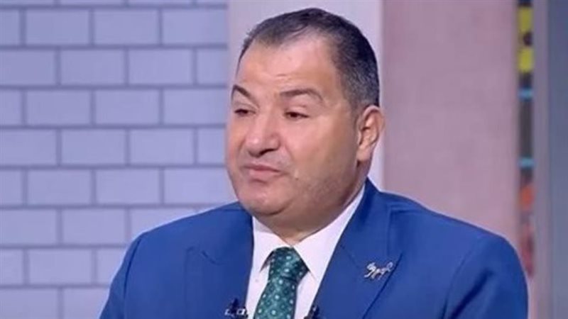 الدكتور هشام الليثي، الأمين العام للمجلس الأعلى للآثار،