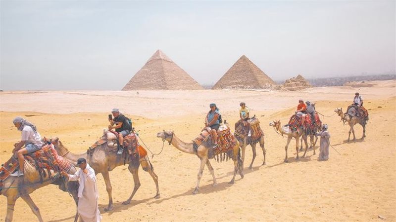 الدواب فى الاهرماات