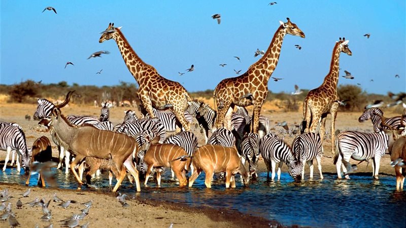 فيضانات بجنوب أفريقيا