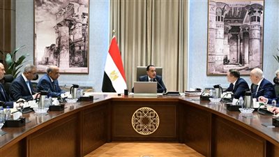 رئيس الوزراء يلتقي المدير العام لـ