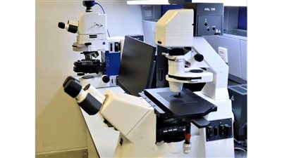 وحدة الميكروسكوبات بالمتحف الحضاري..غرفة البحث الدقيق في الآثار 