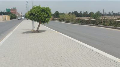محاور جديدة تنضم لشبكة الطرق بمحافظة الجيزة لتعزيز السيولة المرورية