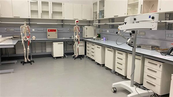 حفظ المومياوات  