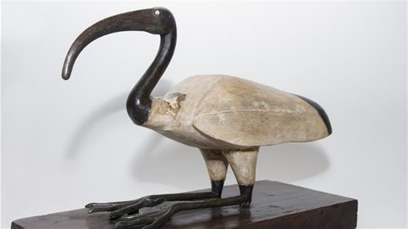 القطعة الأثرية 