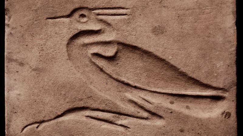 القطعة الأثرية 