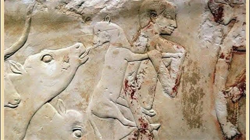 القطعة الأثرية 