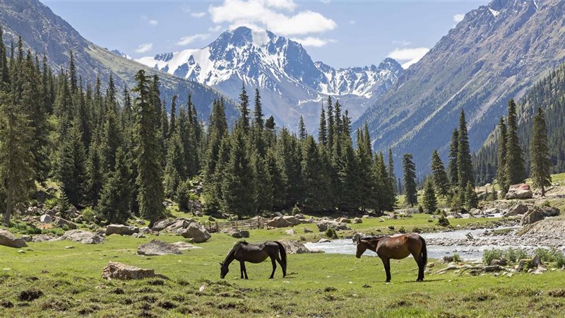 قيرغيزستان