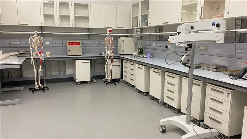 حفظ المومياوات 