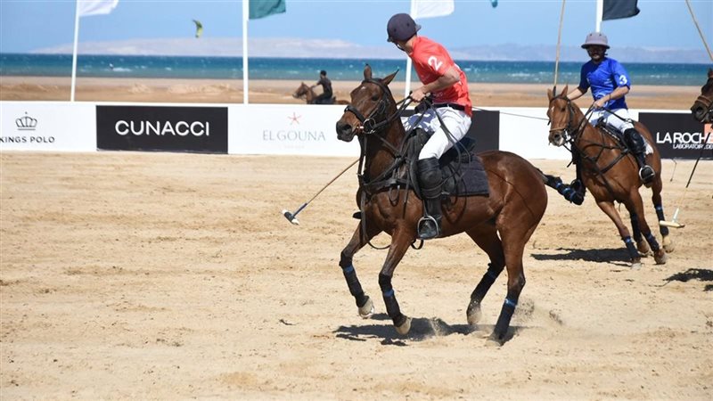 رياضة البولو