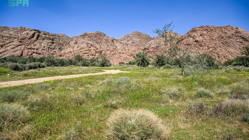 جبال حائل السعودية