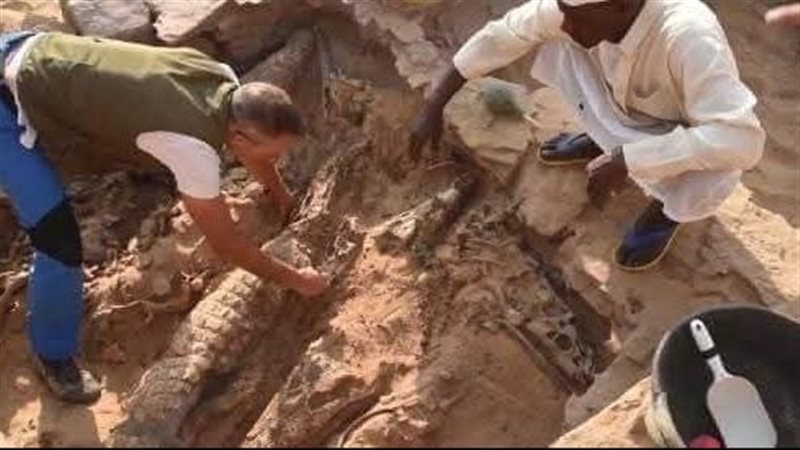 المومياوات 