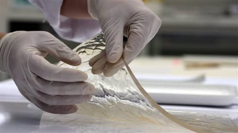 القطعة الأثرية 