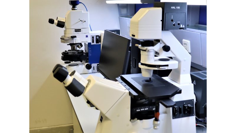 وحدة الميكروسكوب