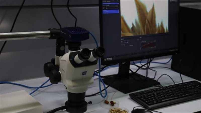 معمل النباتات الأثرية