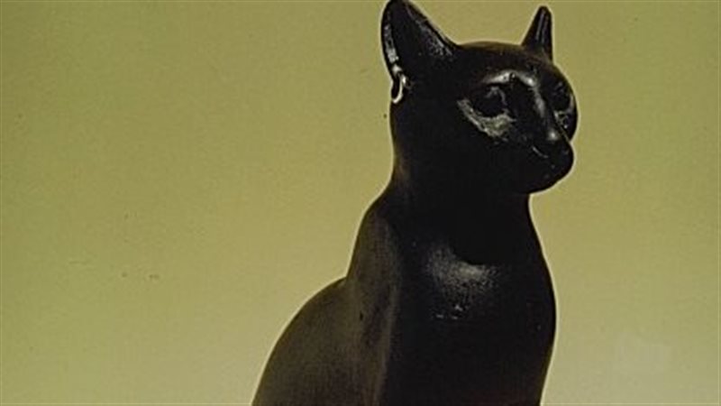 القطعة الأثرية 