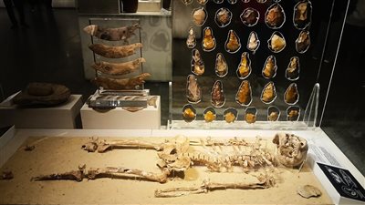 إنسان نزلة خاطر.. هيكل عمره 35 ألف عام يكشف أقدم فصول التاريخ في مصر