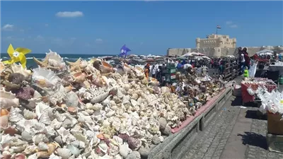 قلعة قايتباي تستعد لموسم سياحي صيفي جديد وتعديل مواعيد الغلق إلى 8 مساء