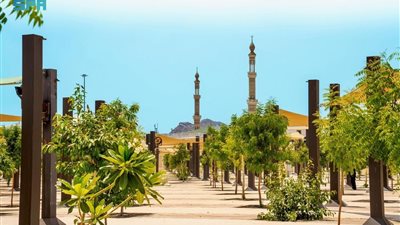 زراعة 60 ألف شجرة لتلطيف المناخ بالمشاعر المقدسة خلال موسم الحج