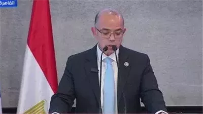 وزير الاستثمار: ما يشهده الاقتصاد المصرى حاليا يعكس تطورا فى بيئة الأعمال