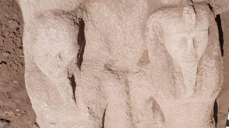 اكتشاف أثري بالشرقية 