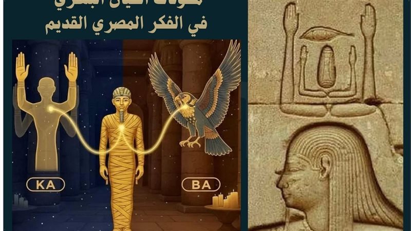 الفكر المصري 