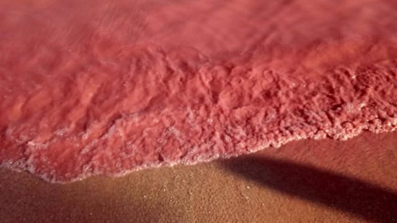 لون أحمر على مياه