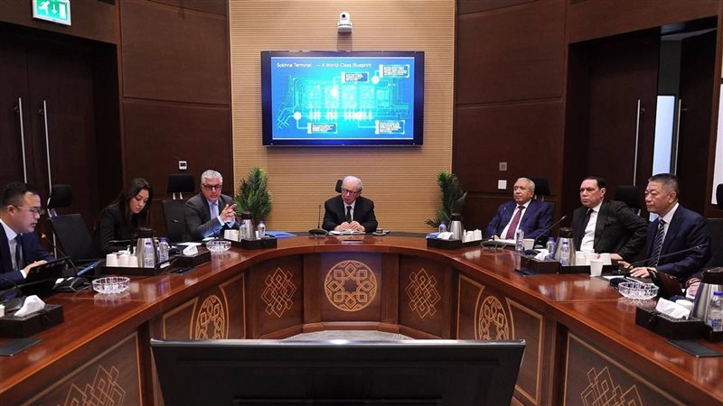 نائب مجلس الوزراء