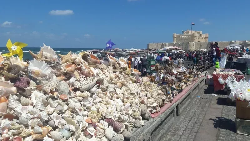 قلعة قايتباى 