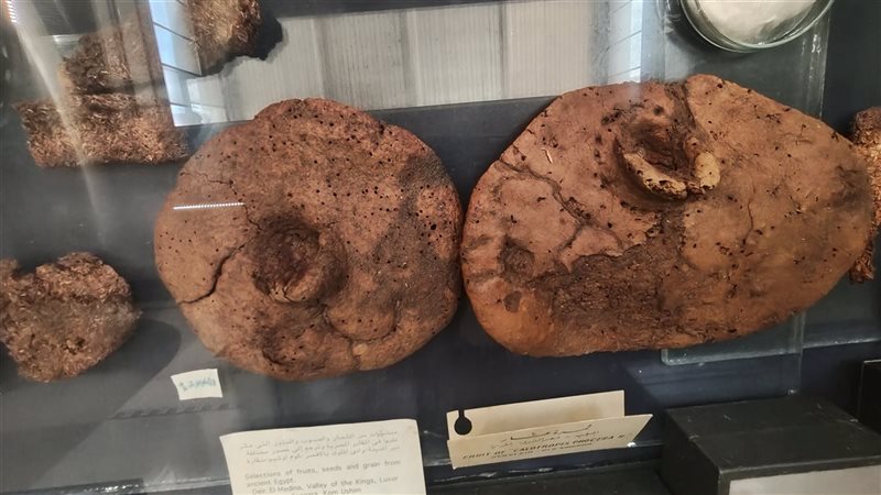 الخبر الأثري 