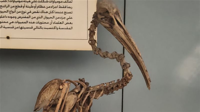 القطعة الأثرية 