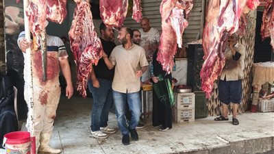 محافظة الجيزة: ضبط 6 أطنان هياكل دواجن ومصنعات لحوم فاسدة