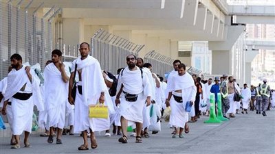 جهود مكثفة داخل المسجد النبوي.. خدمات إرشادية متواصلة لضيوف الرحمن