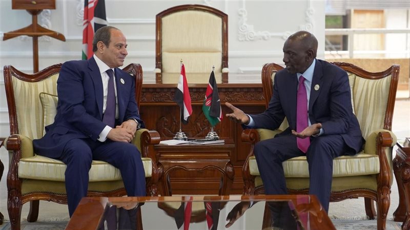 الرئيس السيسي يلتقي