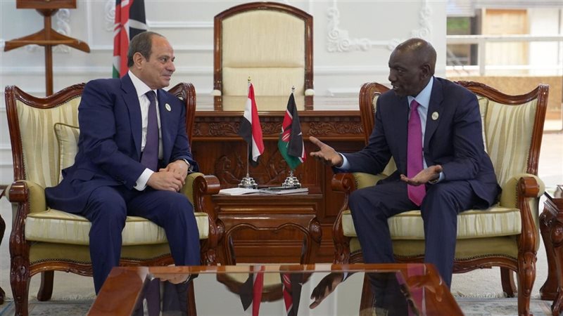 الرئيس السيسي يلتقي
