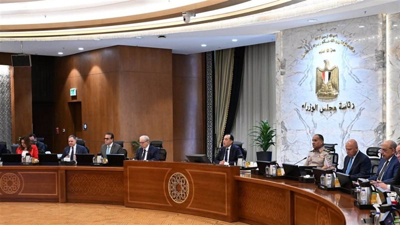 مجلس الوزراء 