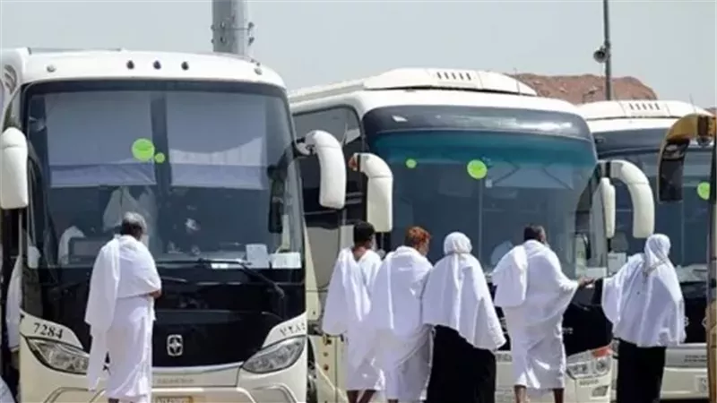 حجاج البرى