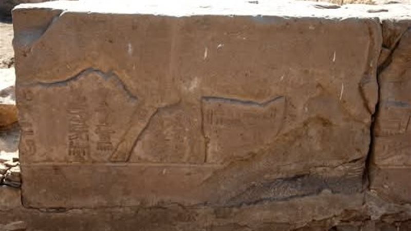 القطعة الأثرية 