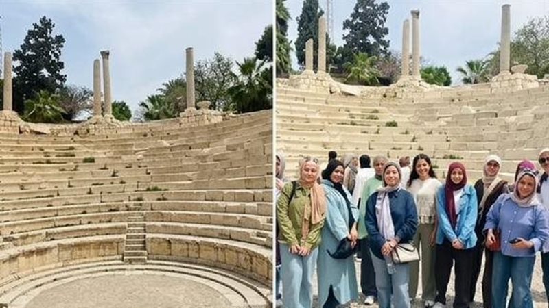جامعة عين شمس 